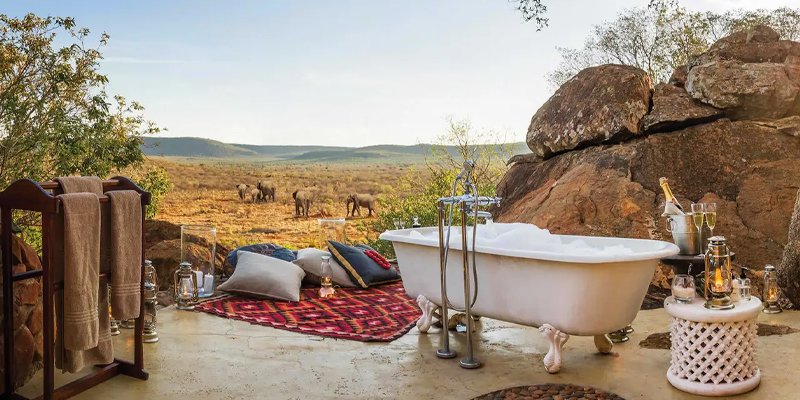 14 Day Serengeti Honeymoon Big Cats Safari
