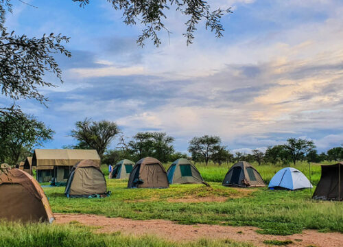 7 Day Tanzania Budget Camping Safari